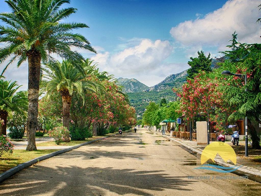 Jadran דירה